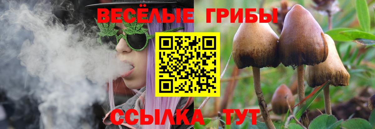 Галлюциногенные грибы Cubensis  Галлюциногенные грибы ЛСД  Дзержинский  Вход с VPN 